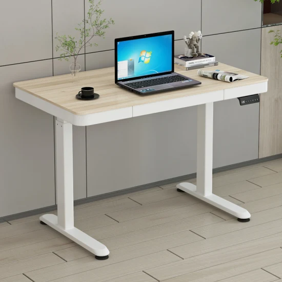 Sit Stand Electric Standing Height Adjustable Study Computer Desk